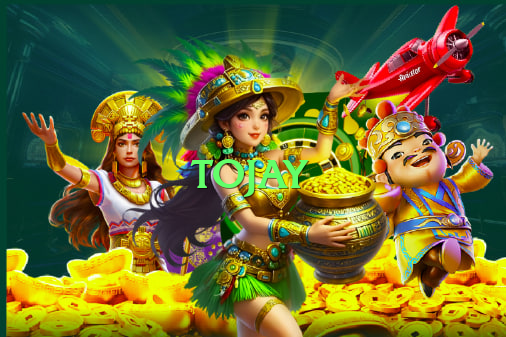 tojay Expert Official Screenshot 1